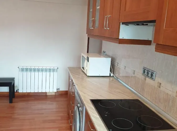 Apartment La Concha *